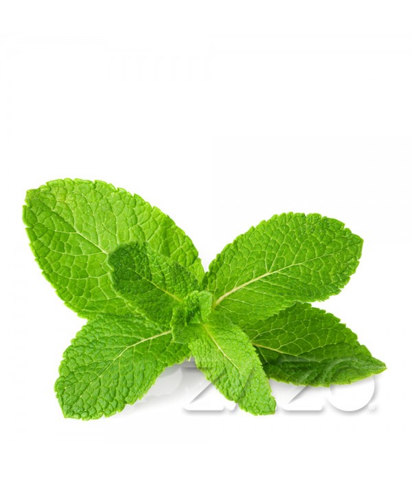 Mint (Zazo liquid)